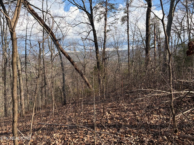 819 Jama Way, Maryville, TN 37803