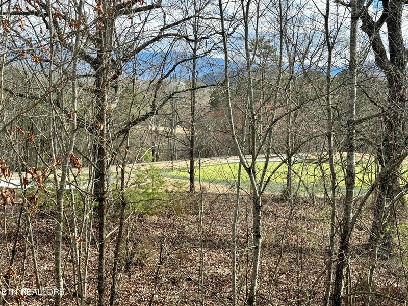 820 Golf View Blvd #2402, Pigeon Forge, TN 37863