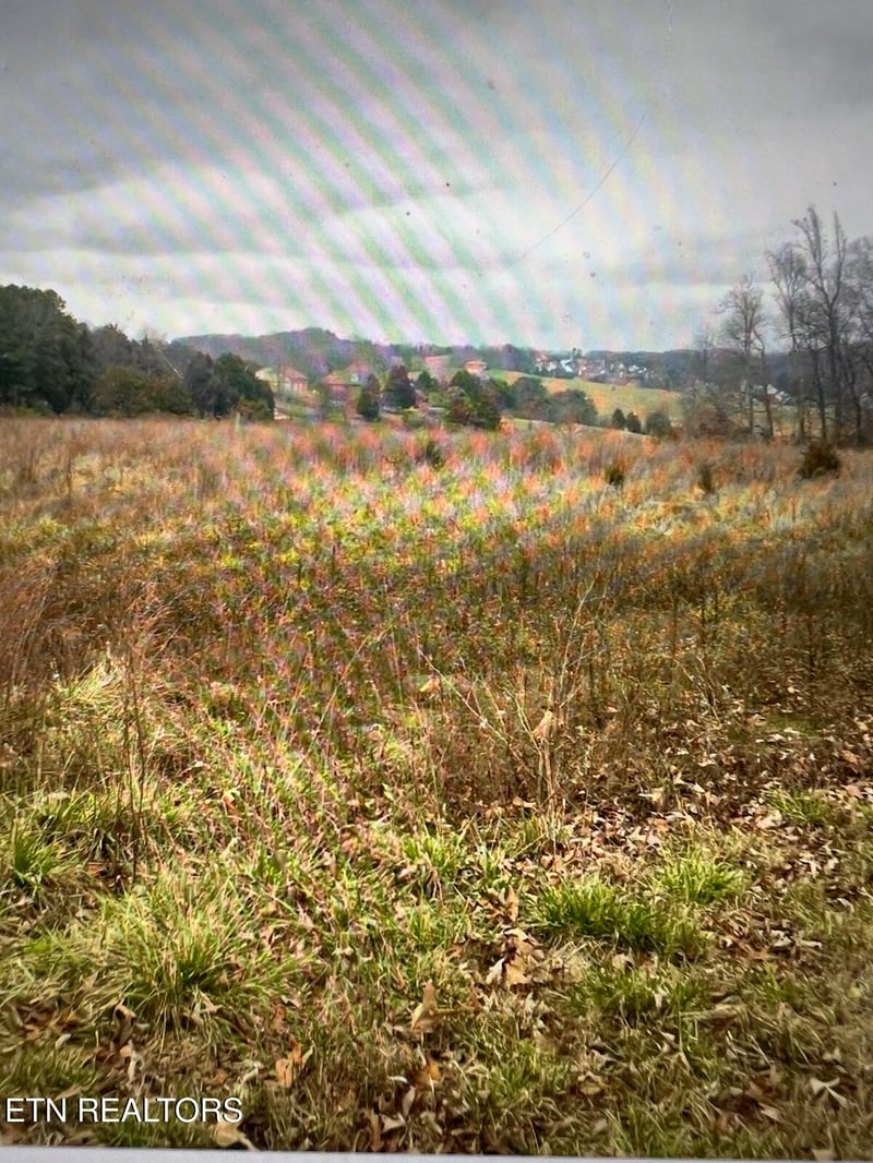 8200 Schroeder Rd, Powell, TN 37849
