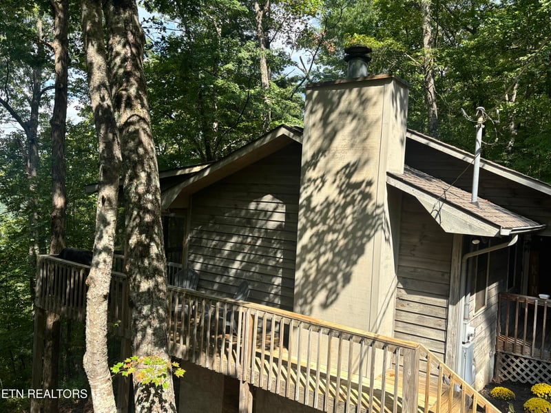 822 Christy Ln, Townsend, TN 37882