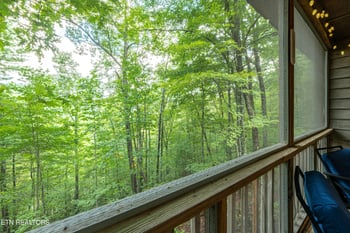 822 Christy Ln, Townsend, TN 37882