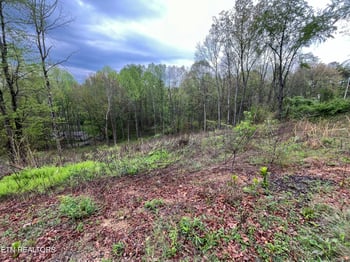 8221 Cricket Rd, Powell, TN 37849