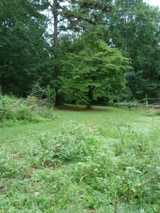 8224 Ewing Rd, Powell, TN 37849