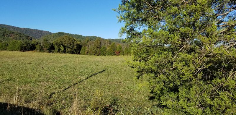 823 Smokey, Rutledge, TN 37861