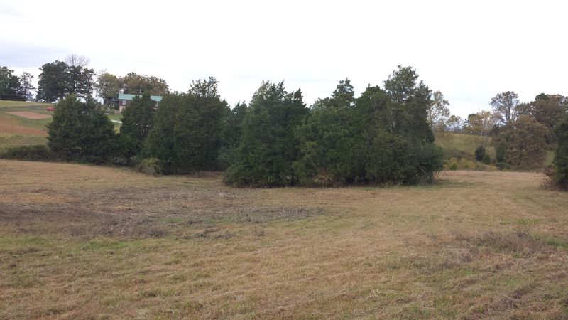 8233 Shelton Rd, Corryton, TN 37721