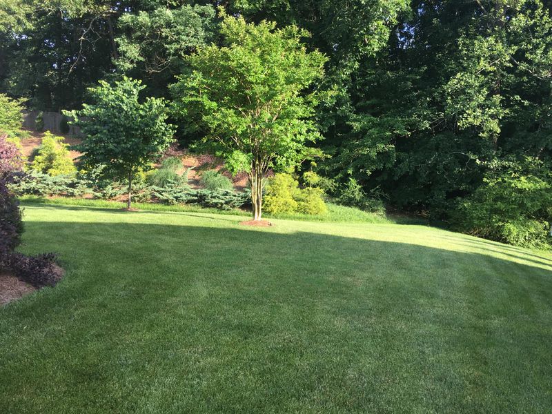 824 Clover Fields Ln, Knoxville, TN 37932