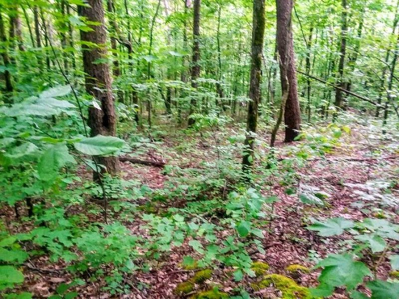 825 Smokey Branch Rd, Vonore, TN 37885