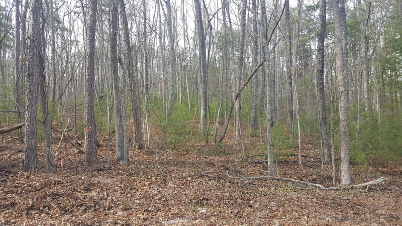 830 Epperson Rd, Tellico Plains, TN 37385