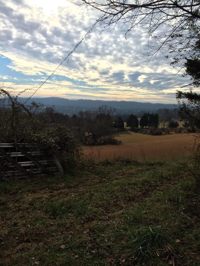 8301 Coppock Rd, Corryton, TN 37721