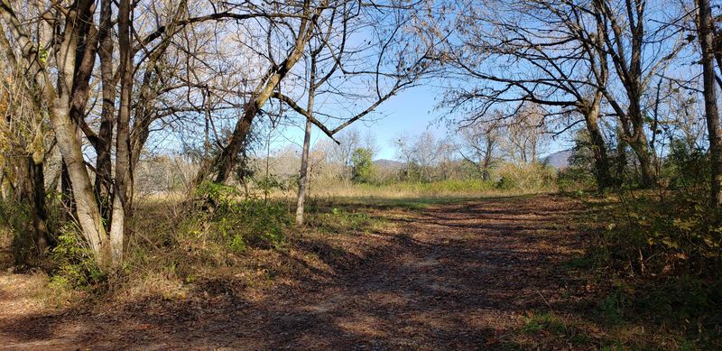8309 N River Rd, Townsend, TN 37882