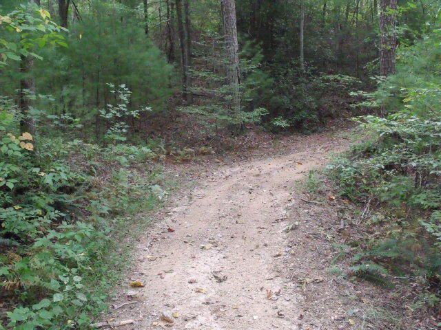 831 Yellow Nugget Rd, Tellico Plains, TN 37385