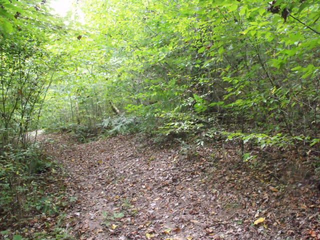 831 Yellow Nugget Rd, Tellico Plains, TN 37385