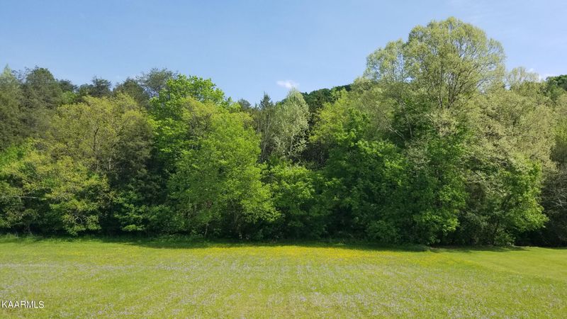 8310 Chauvin Ln, Corryton, TN 37721
