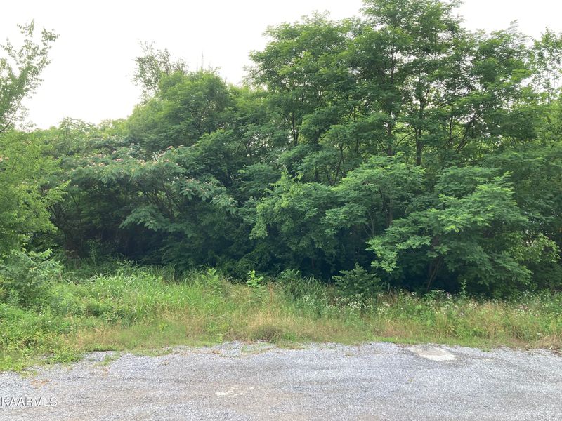 832 Mccammon Ave, Alcoa, TN 37701