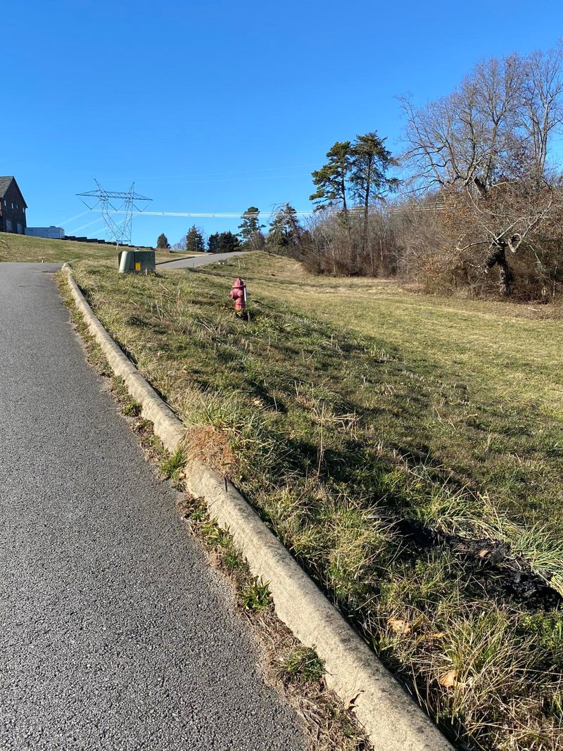 8322 Campbells Point Rd, Corryton, TN 37721