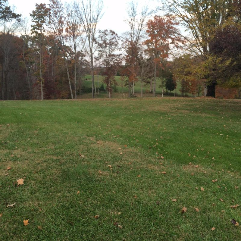 8330 Majors Rd, Corryton, TN 37721