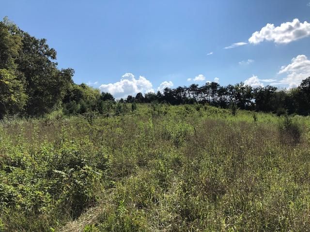 834 Cedar Grove Rd, Loudon, TN 37774