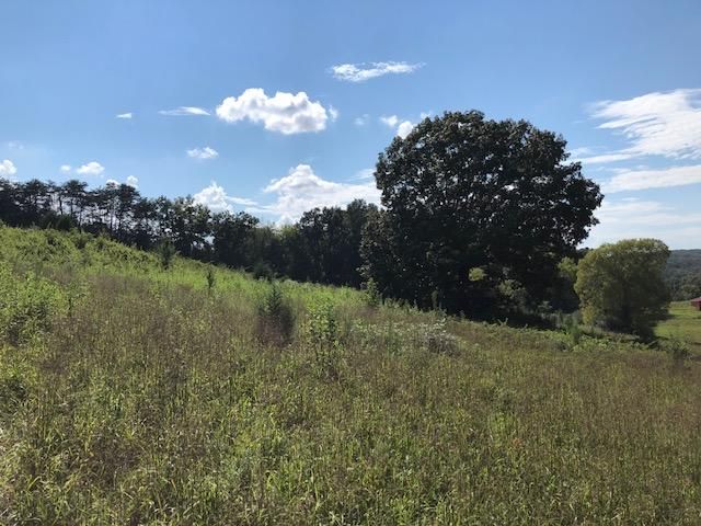 834 Cedar Grove Rd, Loudon, TN 37774