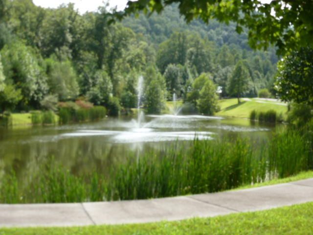 834 Tanasi Trl, Townsend, TN 37882