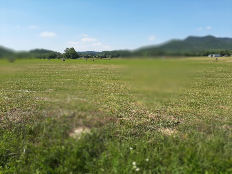 8340 Highway 68, Tellico Plains, TN 37385