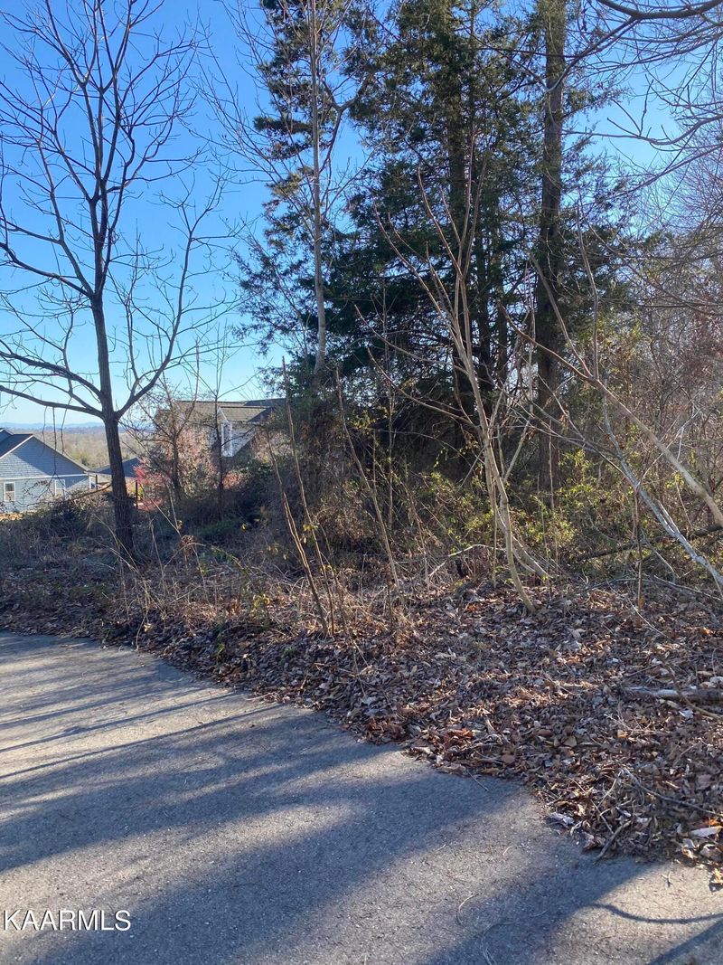 8349 Cliff Ridge Ct, Corryton, TN 37721