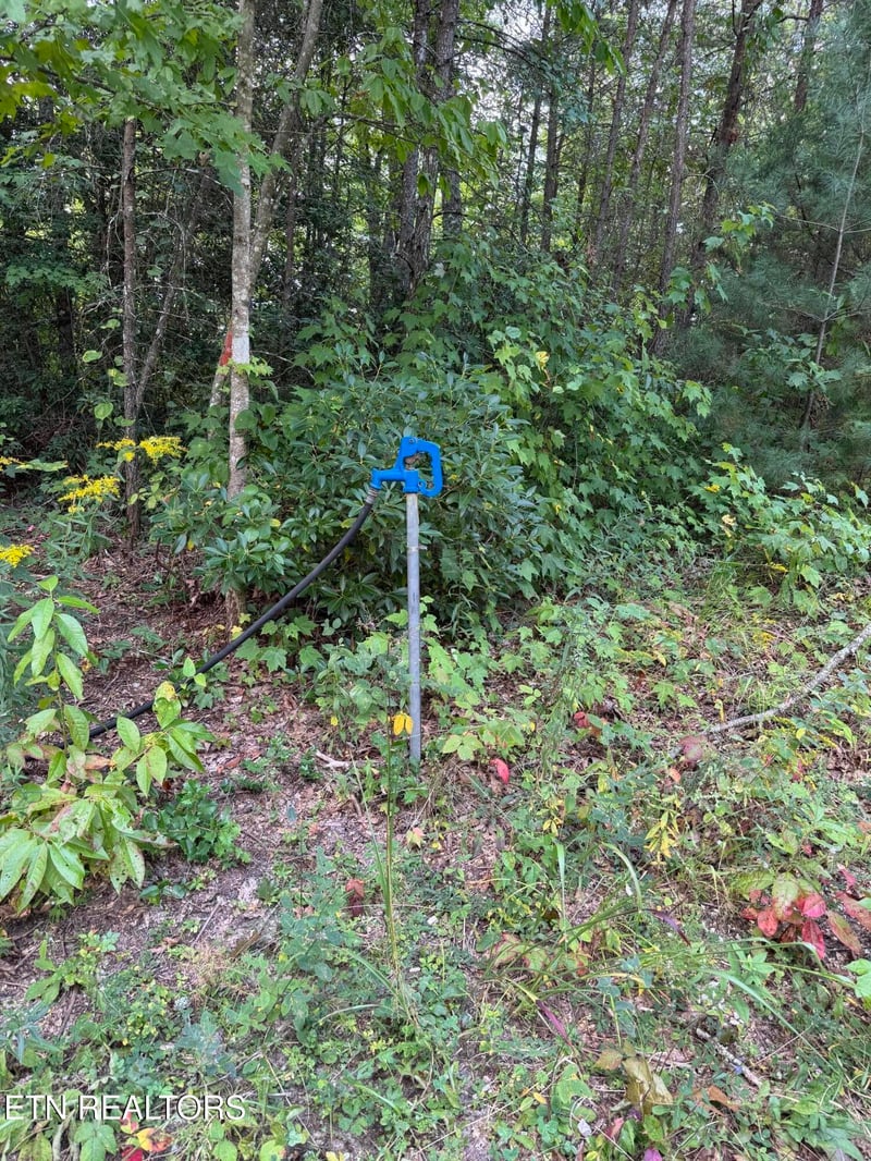 837 Bear Hollow Rd, Oneida, TN 37841