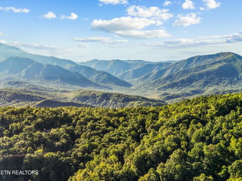 838 Holly Branch Rd, Gatlinburg, TN 37738