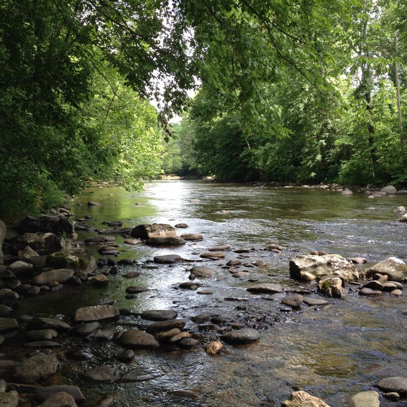 8388 N River Rd, Townsend, TN 37882