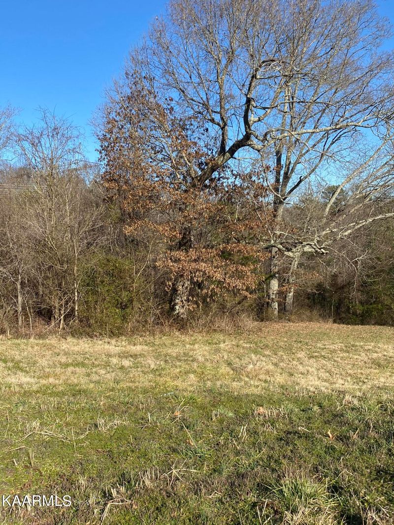 8408 Campbells Point Rd, Corryton, TN 37721