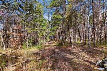 842 E Raccoon Valley Dr, Heiskell, TN 37754