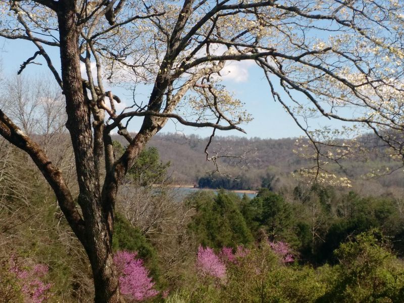 842 Stiner Rd, Sharps Chapel, TN 37866
