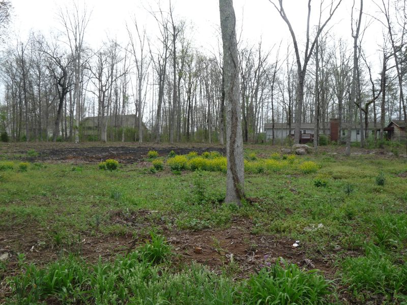 8420 Cherokee Tr, Crossville, TN 38572