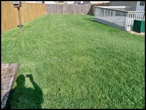 8425 Reality Ln, Corryton, TN 37721
