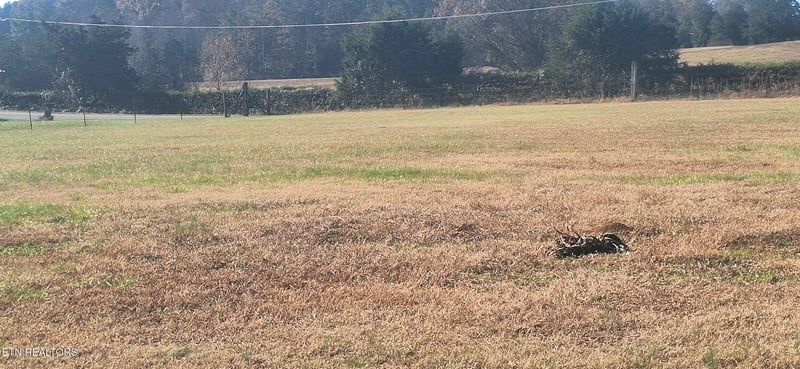 844 Seed Tick Rd, Philadelphia, TN 37846