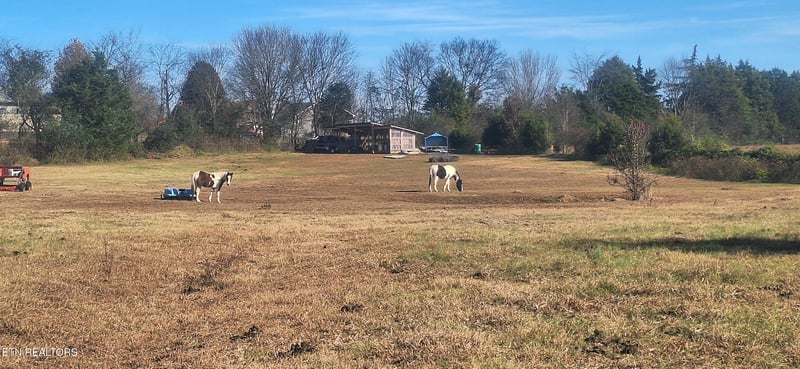844 Seed Tick Rd, Philadelphia, TN 37846