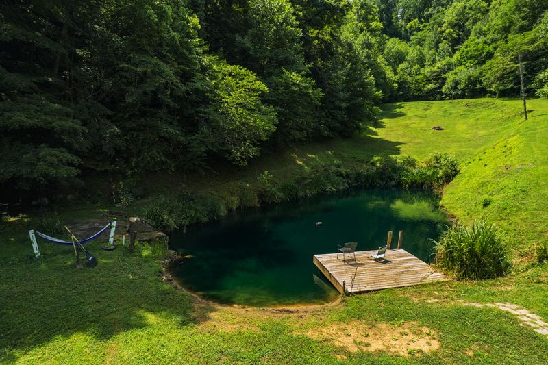 845 Bales Hollow Rd, Seymour, TN 37865