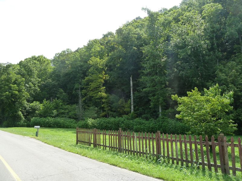 845 E Wolf Valley Rd, Heiskell, TN 37754