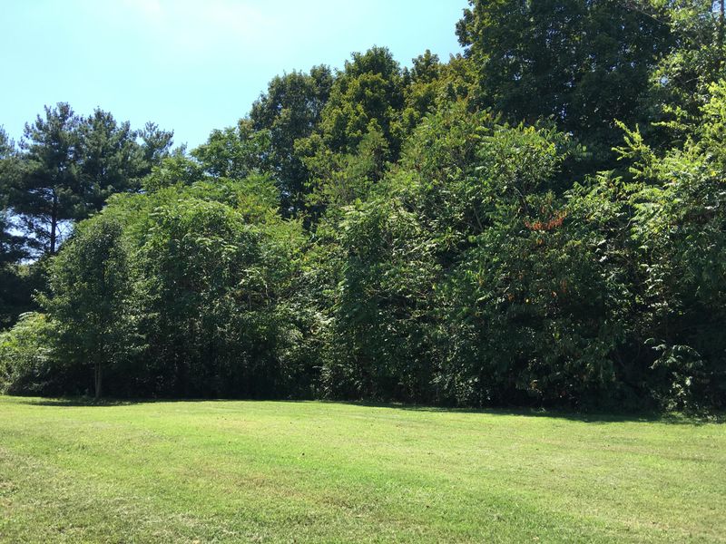 847 Bert Garner Ln, Maryville, TN 37803