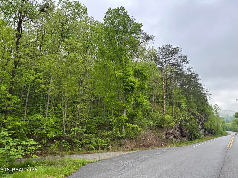 8472 Highway 25 W N, Duff, TN 37729