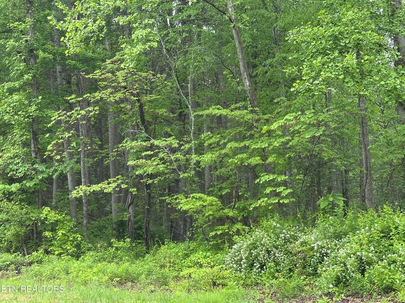 8472 Highway 25 W N, Duff, TN 37729