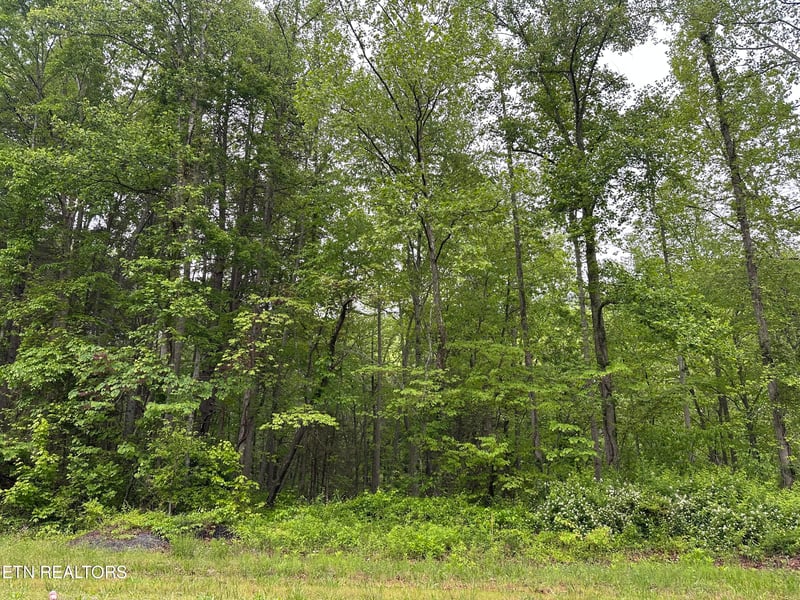 8472 Highway 25 W N, Duff, TN 37729