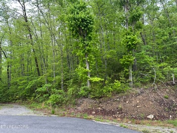 8472 Highway 25 W N, Duff, TN 37729