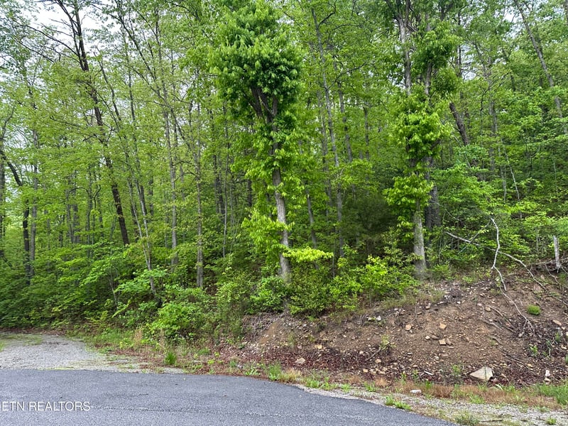 8472 Highway 25 W N, Duff, TN 37729
