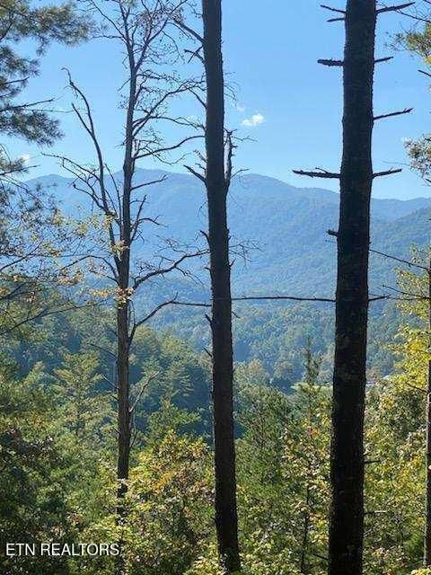 849 Hawk View Rd, Townsend, TN 37882