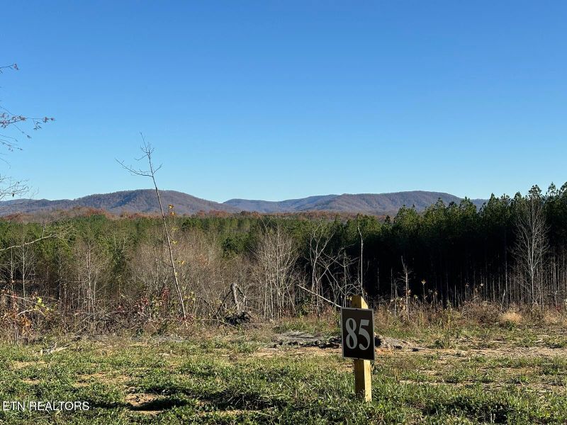 85 Union Hill Rd, Sunbright, TN 37872