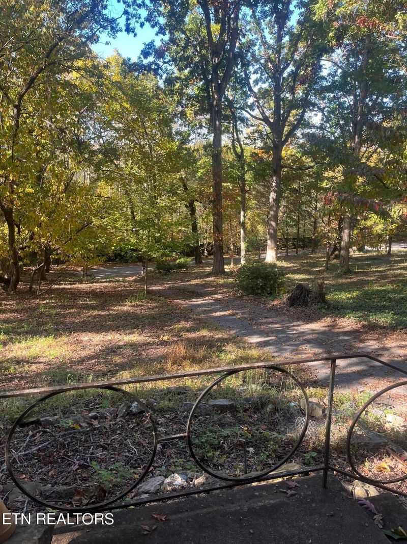 8506 Trout Rd, Mascot, TN 37806
