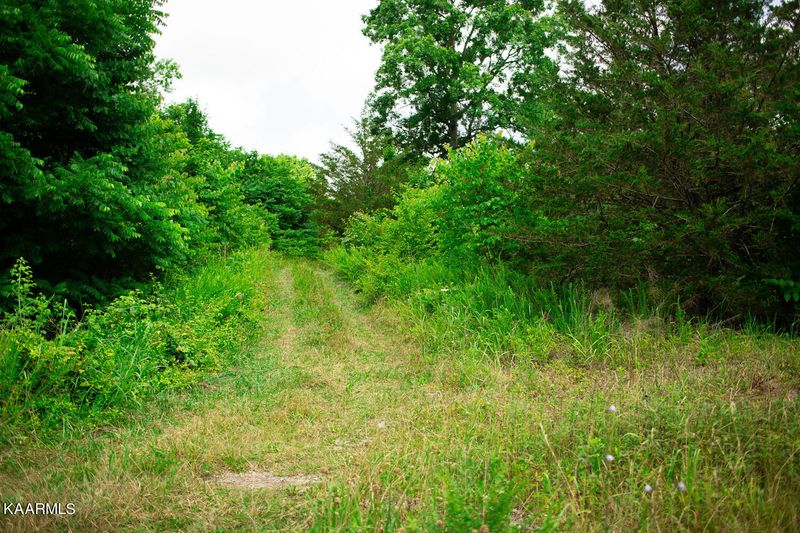 8513 NE Emory Rd, Corryton, TN 37721