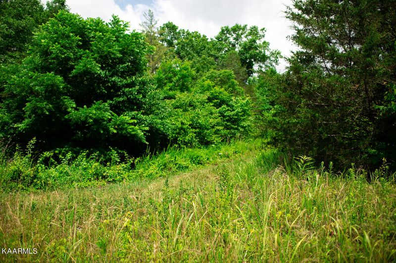 8513 NE Emory Rd, Corryton, TN 37721