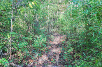 8514 Pleasant Hill Rd, Knoxville, TN 37924