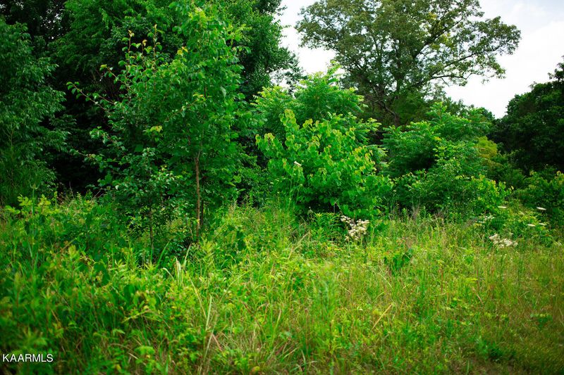 8517 NE Emory Rd, Corryton, TN 37721